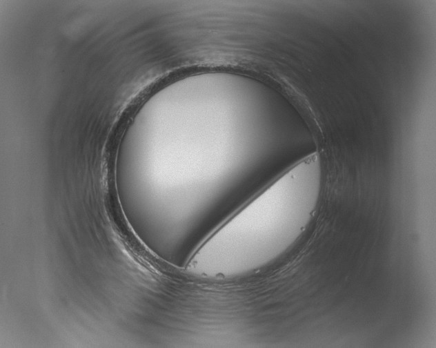 X0000077990584200610270949
