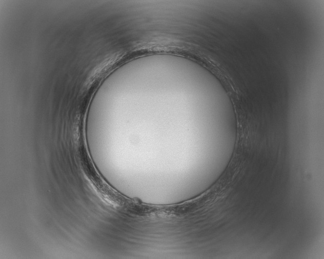 X0000077990586200610270949
