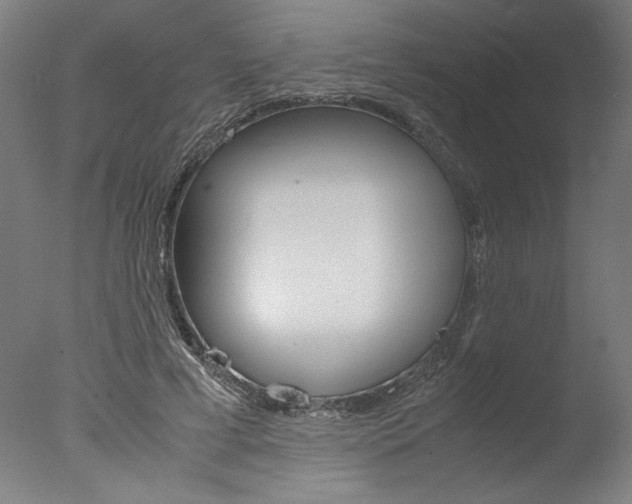 X0000077990593200610270949
