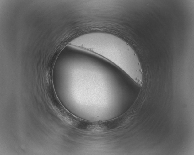X0000077990597200610270949