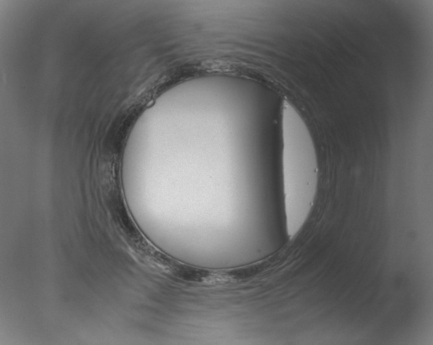 X0000077990603200610270949