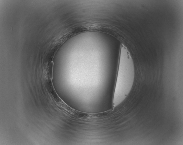 X0000077990604200610270949