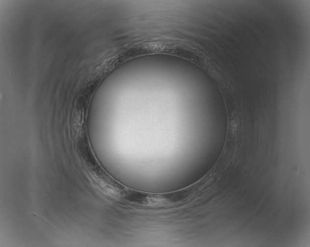 X0000077990605200610270949