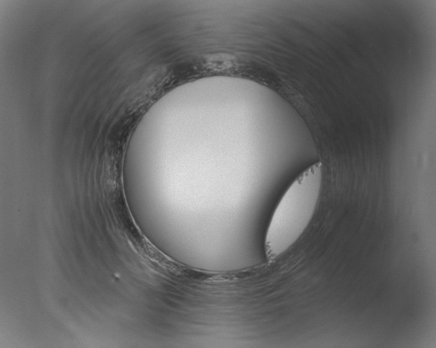 X0000077990606200610270948