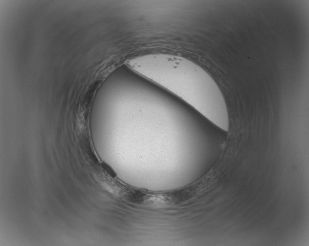 X0000077990611200610270948