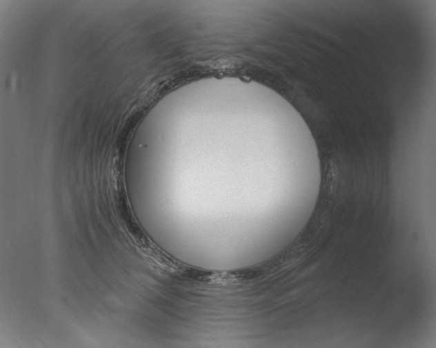 X0000077990612200610270948