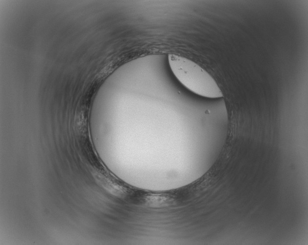X0000077990614200610270948