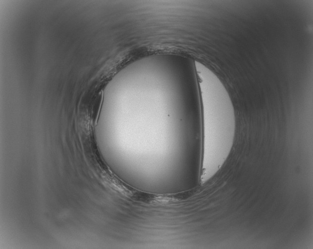 X0000077990617200610270948