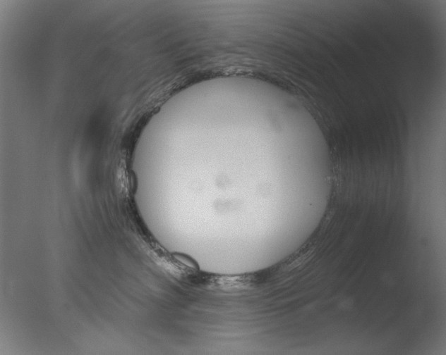 X0000077990622200610270948