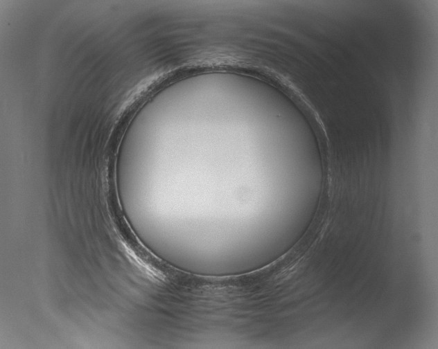 X0000077990629200610270947