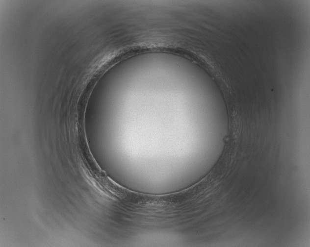 X0000077990631200610270947