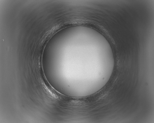 X0000077990633200610270948