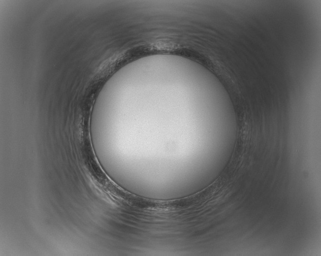 X0000077990639200610270948