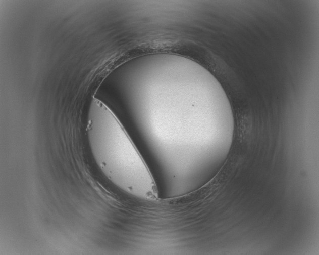 X0000077990644200610270948
