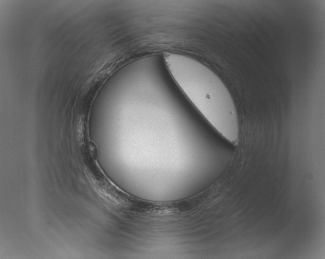 X0000077990646200610270948