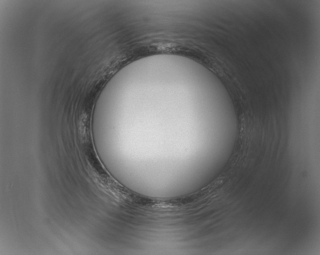 X0000077990650200610270948