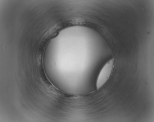 X0000077990652200610270948