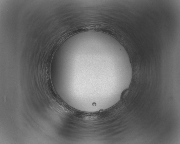X0000077990653200610270948