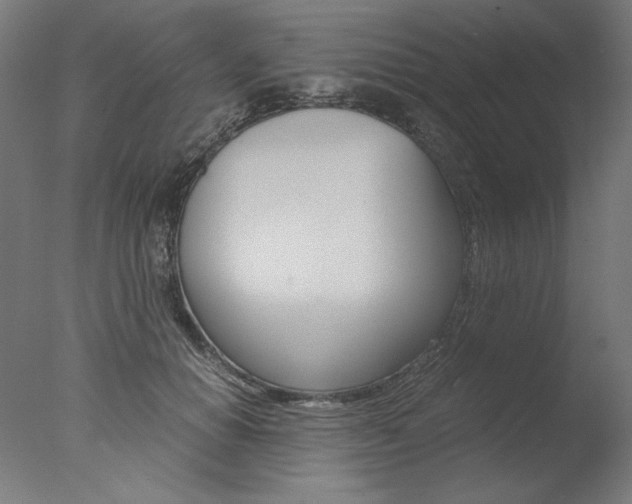 X0000077990654200610270948