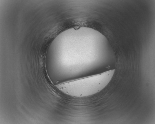 X0000077990658200610270948