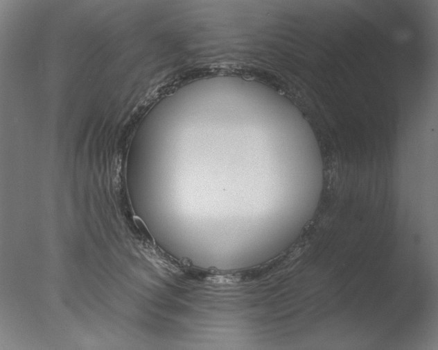 X0000077990660200610270948