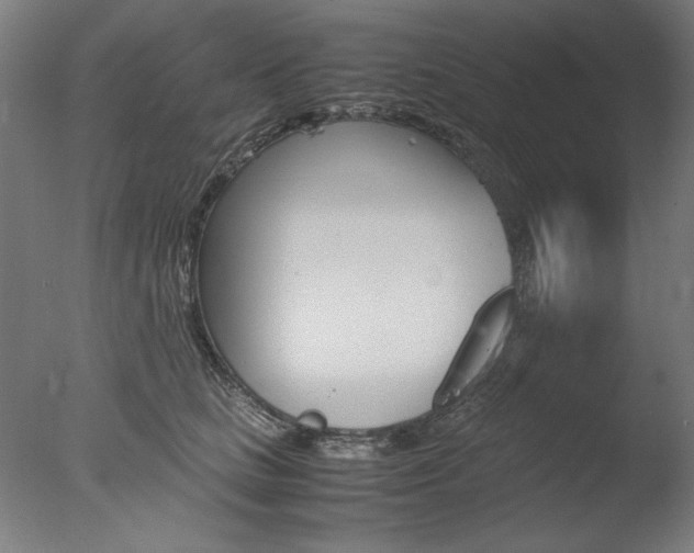 X0000077990661200610270948