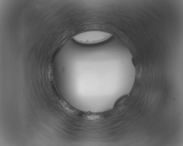 X0000077990669200610270948