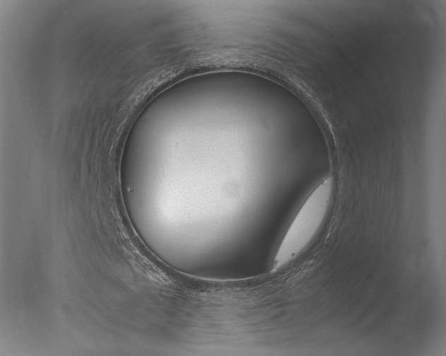 X0000077990673200610270947