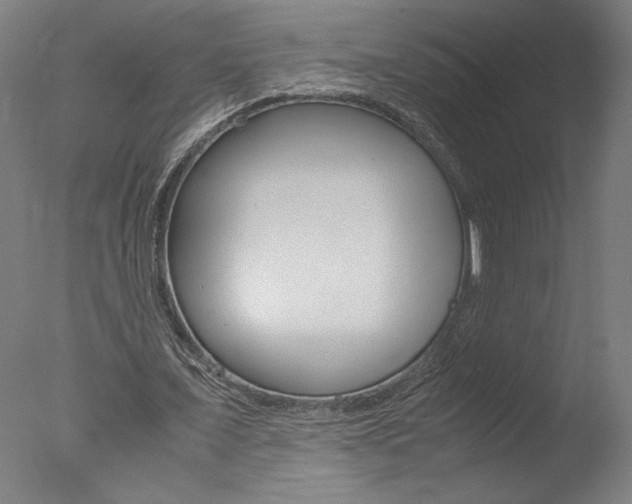 X0000077990675200610270947