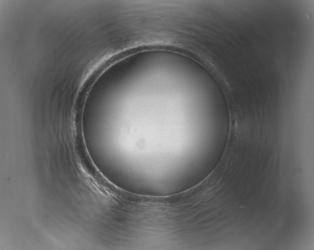 X0000077990676200610270947