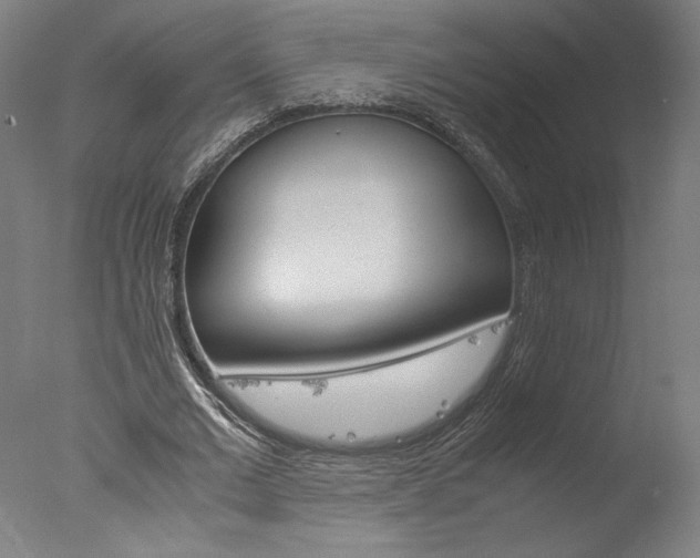 X0000077990677200610270947