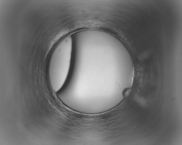 X0000077990679200610270947