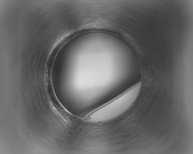 X0000077990680200610270947
