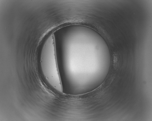 X0000077990684200610270947