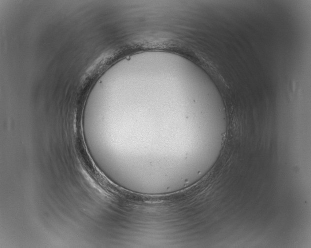 X0000077990686200610270947