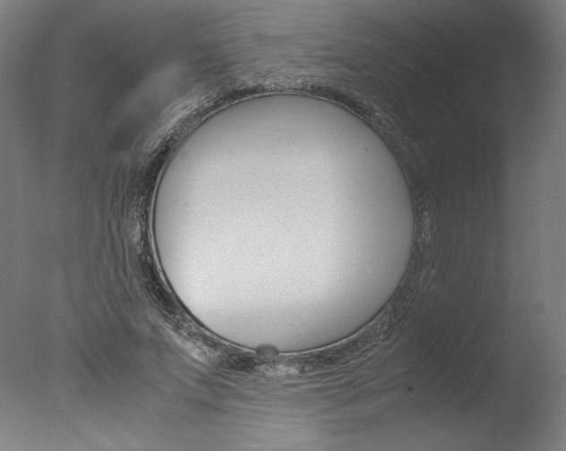 X0000077990687200610270947