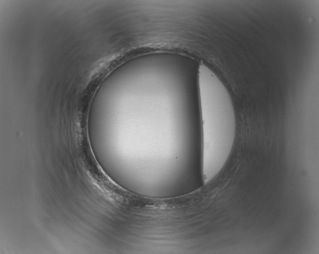 X0000077990688200610270947
