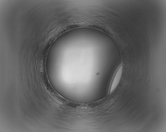 X0000077990689200610270947