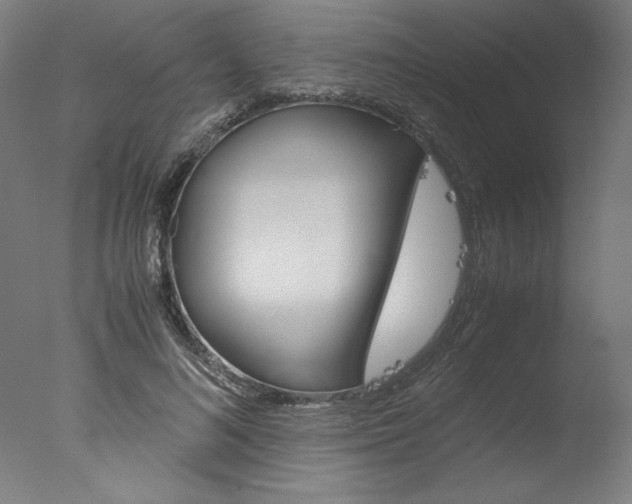 X0000077990692200610270947