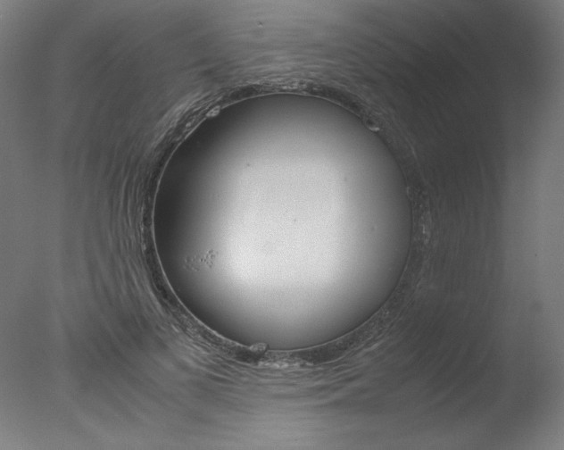 X0000077990693200610270947