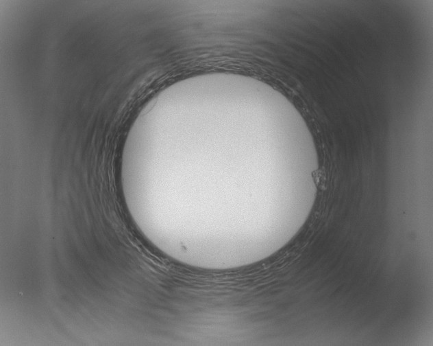 X0000077990701200610270947