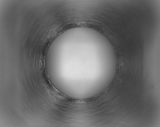 X0000077990702200610270947