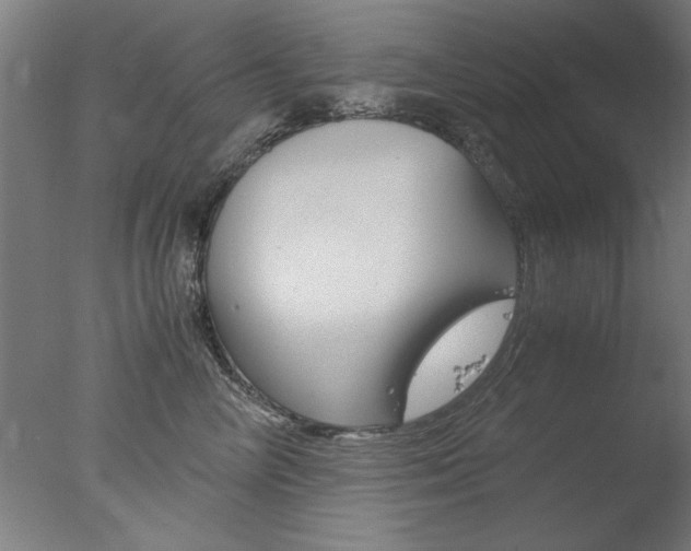 X0000077990714200610270947