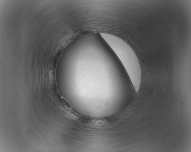 X0000077990716200610270947