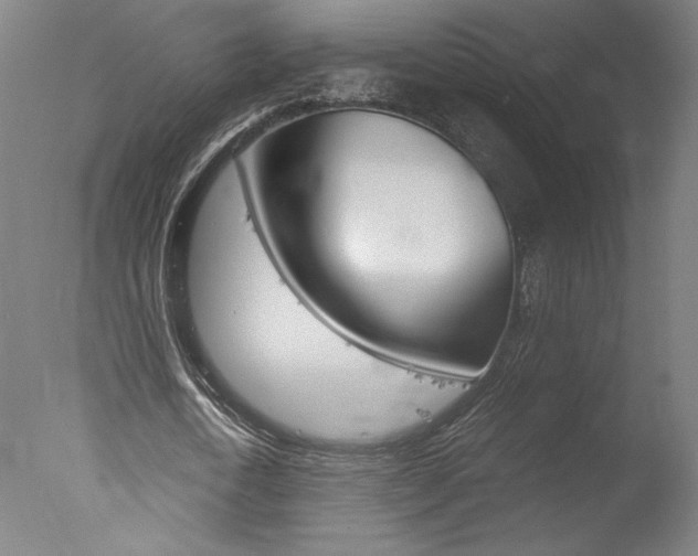 X0000077990722200610270946