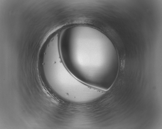 X0000077990724200610270946