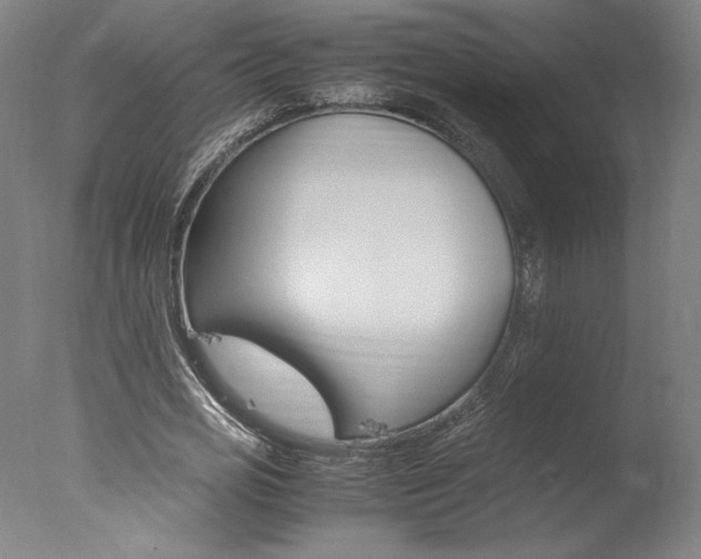 X0000077990725200610270946
