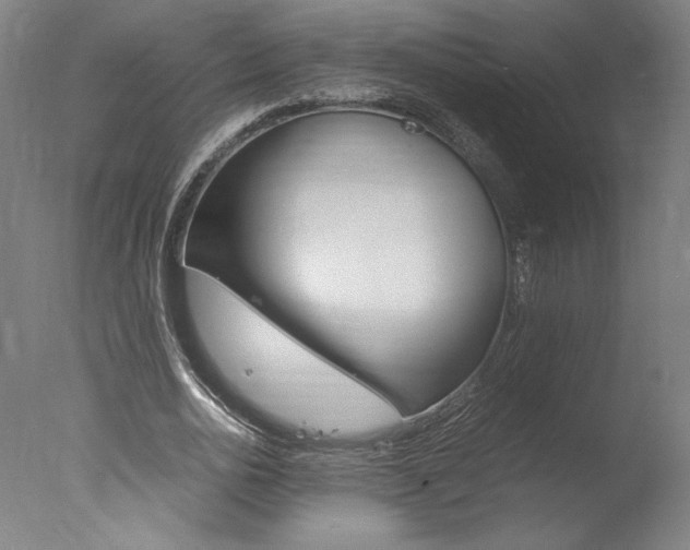 X0000077990726200610270946