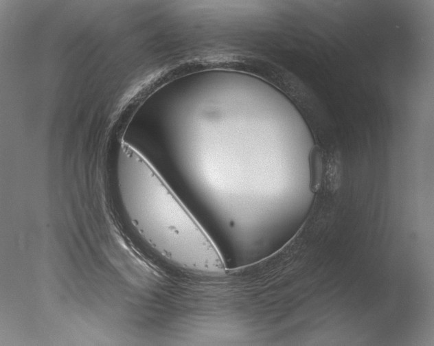X0000077990732200610270946
