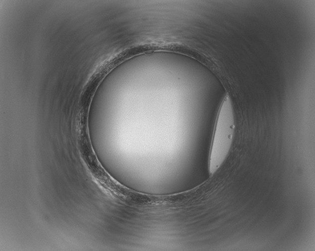 X0000077990736200610270946